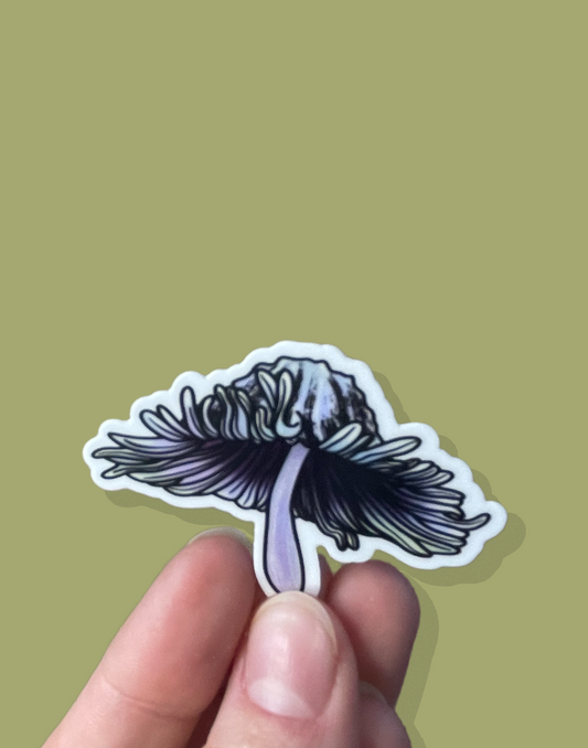 Hare’s Foot Inkcap Mushroom Sticker
